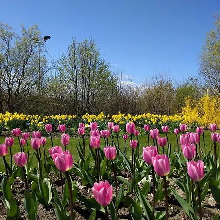 Enchanting In Oksbol Oasis-by Traum 別荘 *