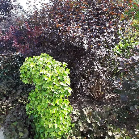 別荘 Enchanting In Oksbol Oasis-by Traum