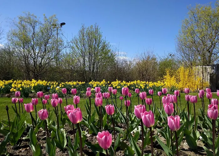 Enchanting In Oksbol Oasis-by Traum بيت للعطل *