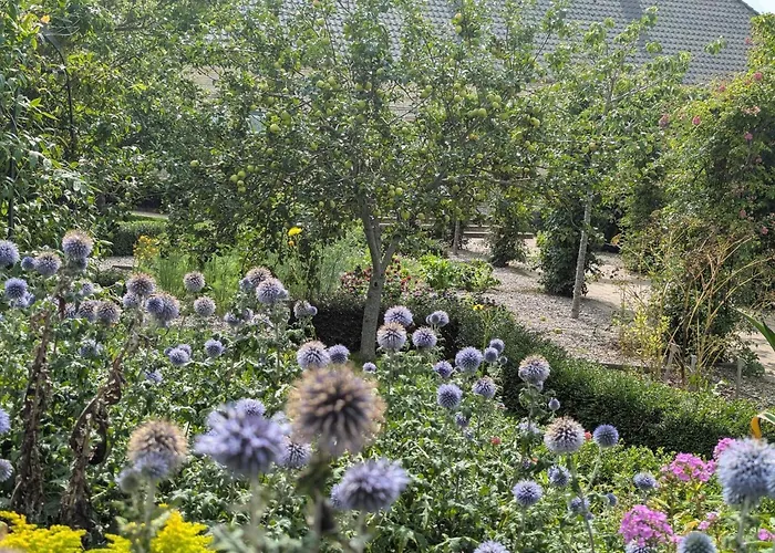 بيت للعطل Enchanting In Oksbol Oasis-by Traum