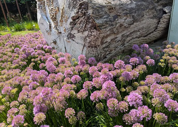 Enchanting In Oksbol Oasis-by Traum * نُوابورغ