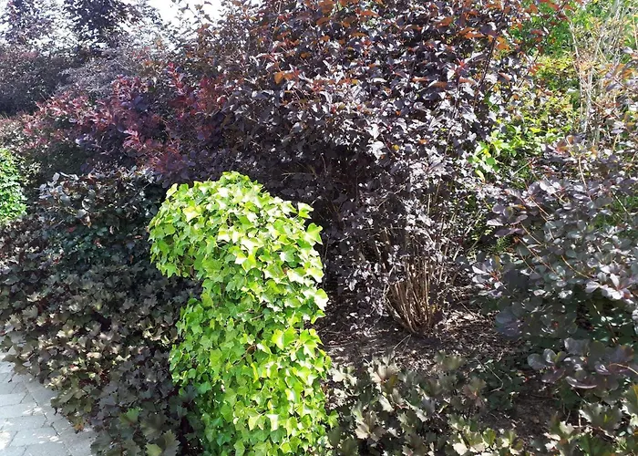 بيت للعطل Enchanting In Oksbol Oasis-by Traum